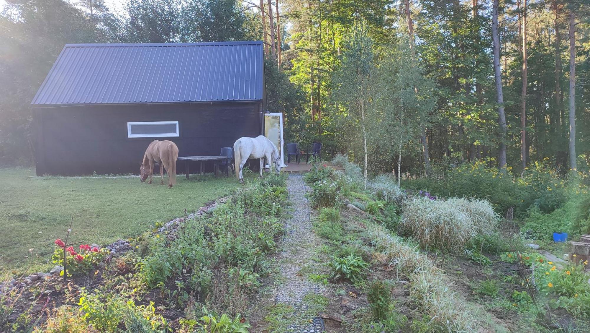 Modern Sauna Cabin In Horse Ranch Liyeplauke Luaran gambar